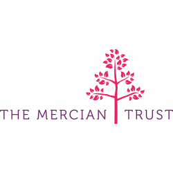 Grade 8 Exam (ABRSM)